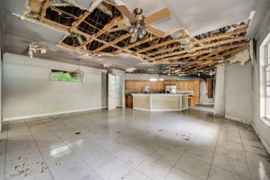 Living Kitchen