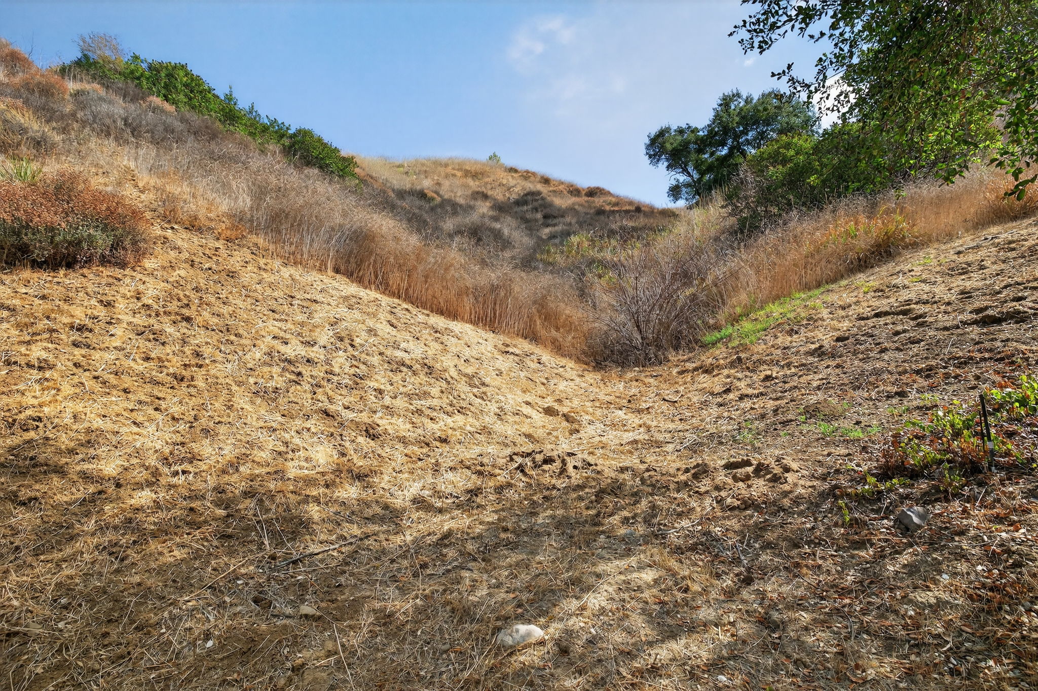  Photo 48