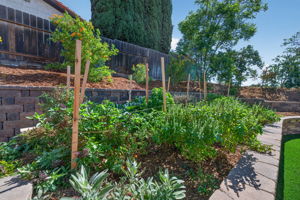  Photo 74