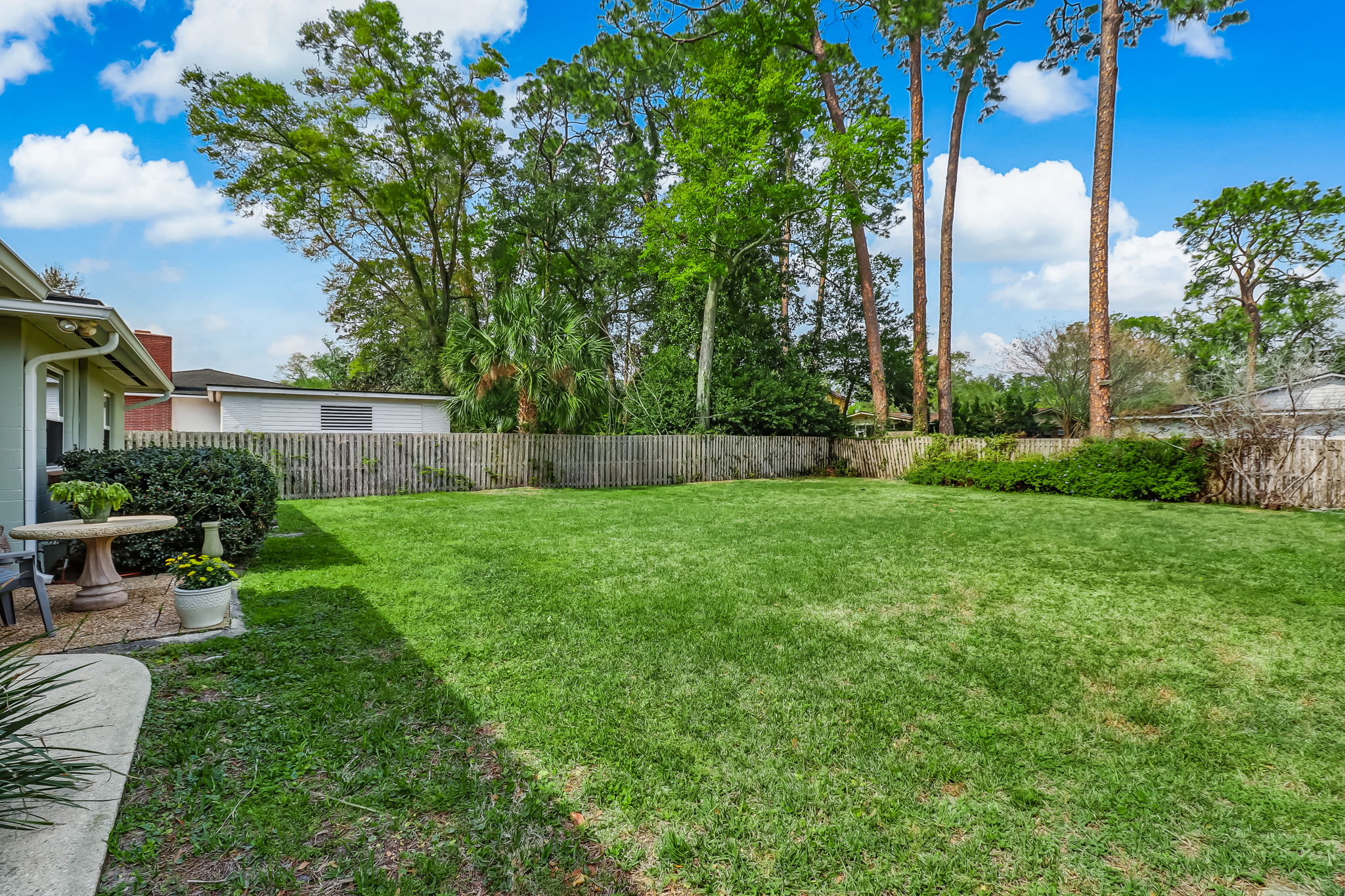 Backyard