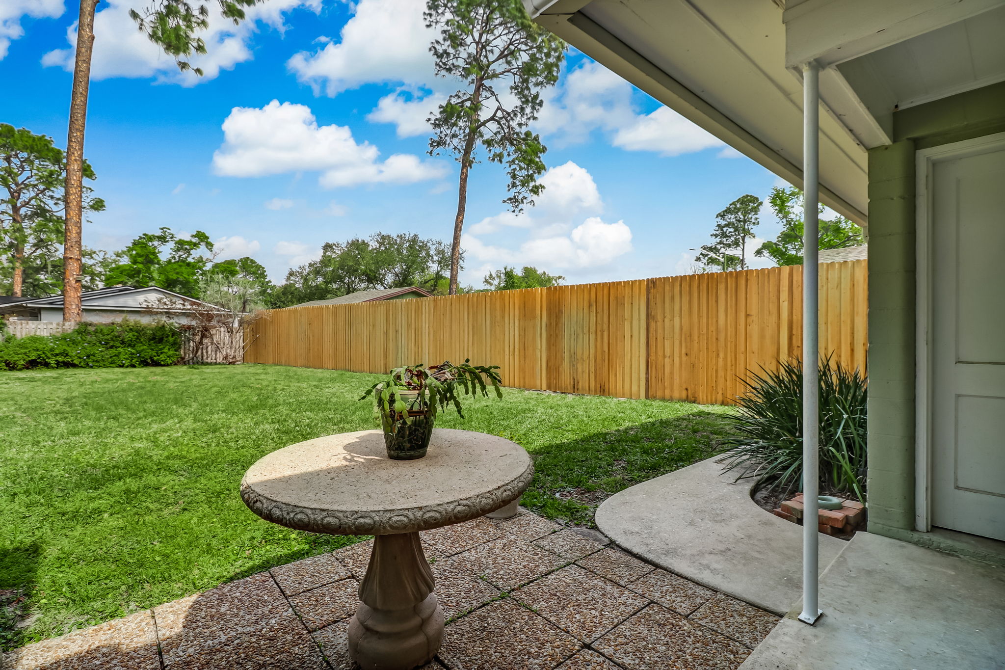 Backyard