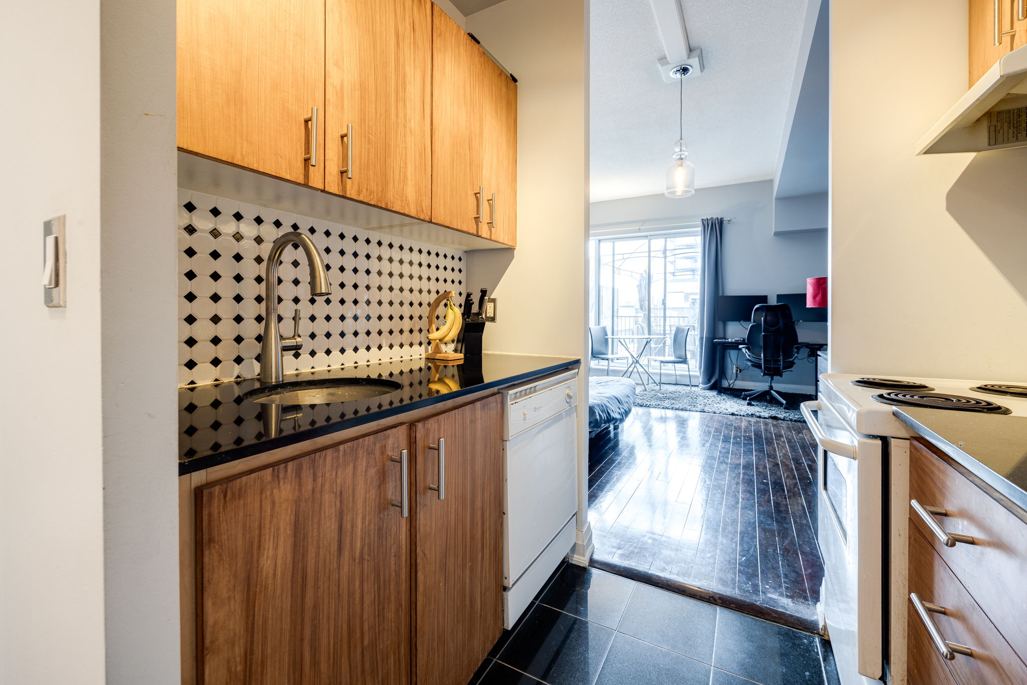 Toronto property showcase — delivered property photograph 5