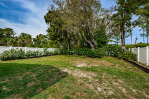 Backyard1