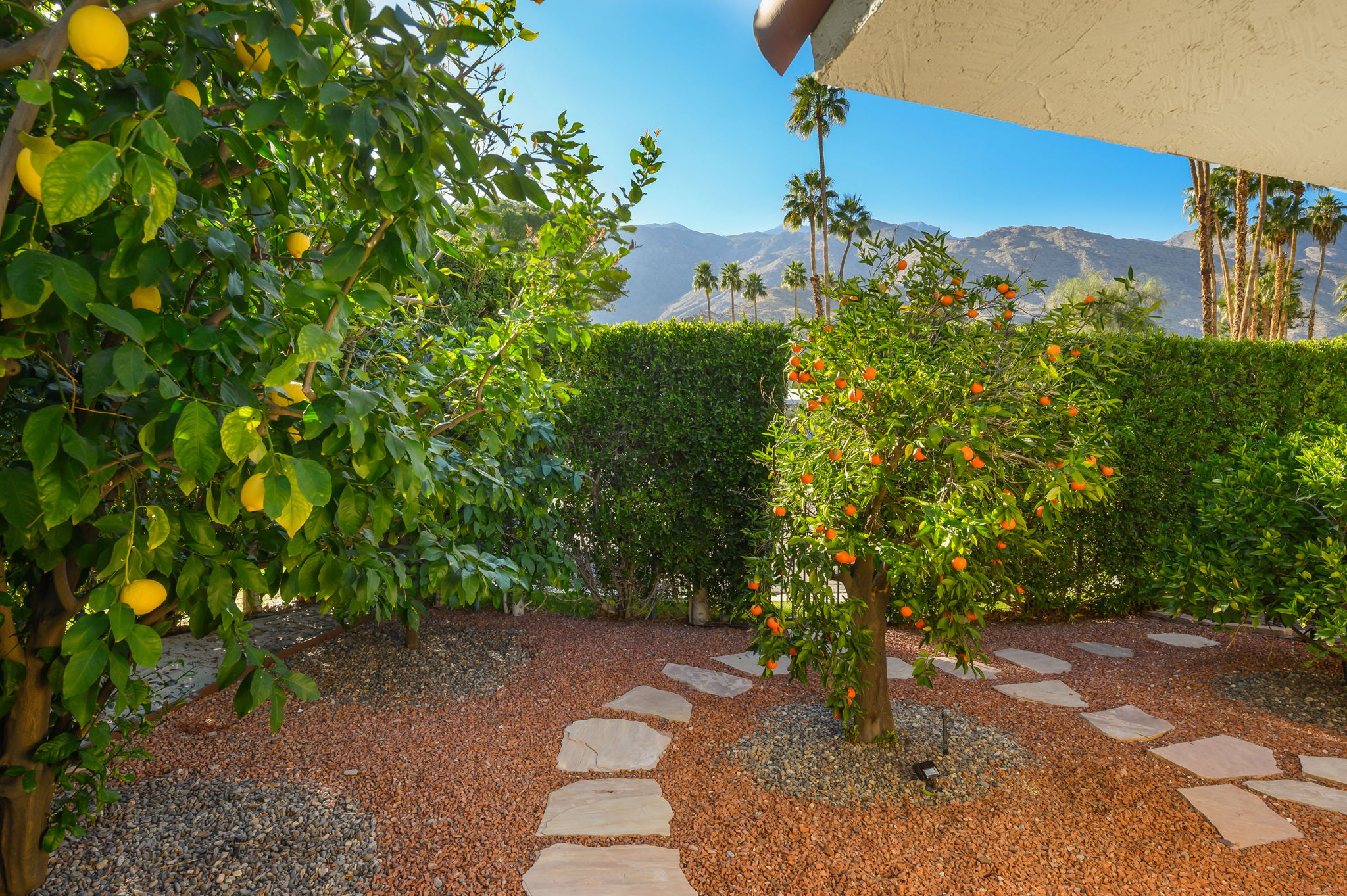  2739 Bonita Cir, Palm Springs, CA 92264, US Photo 37