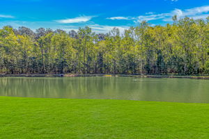 274 Moulton Dr, Longs, SC 29568, USA Photo 24
