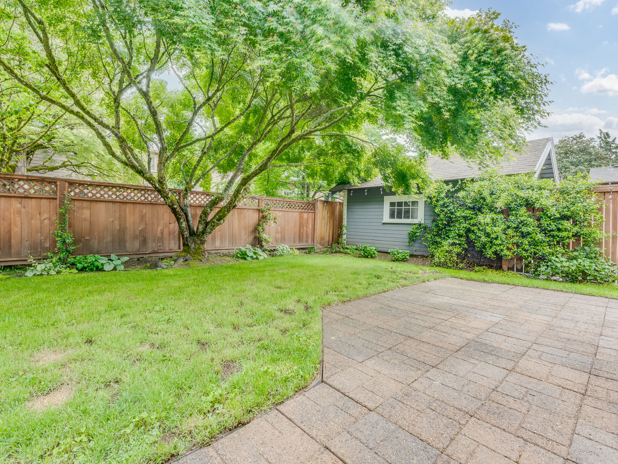 Backyard