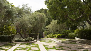  Photo 0