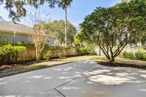 Backyard