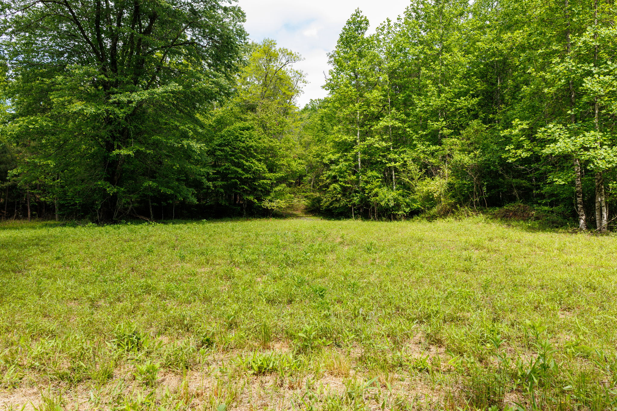 2745 Galloway Rd, Blue Ridge, GA 30513, USA Photo 50