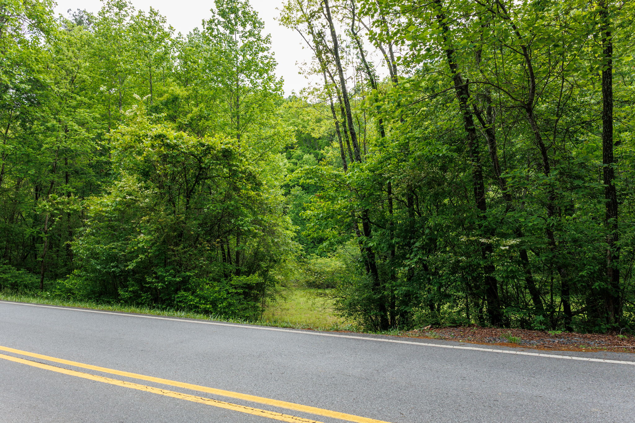 2745 Galloway Rd, Blue Ridge, GA 30513, USA Photo 48