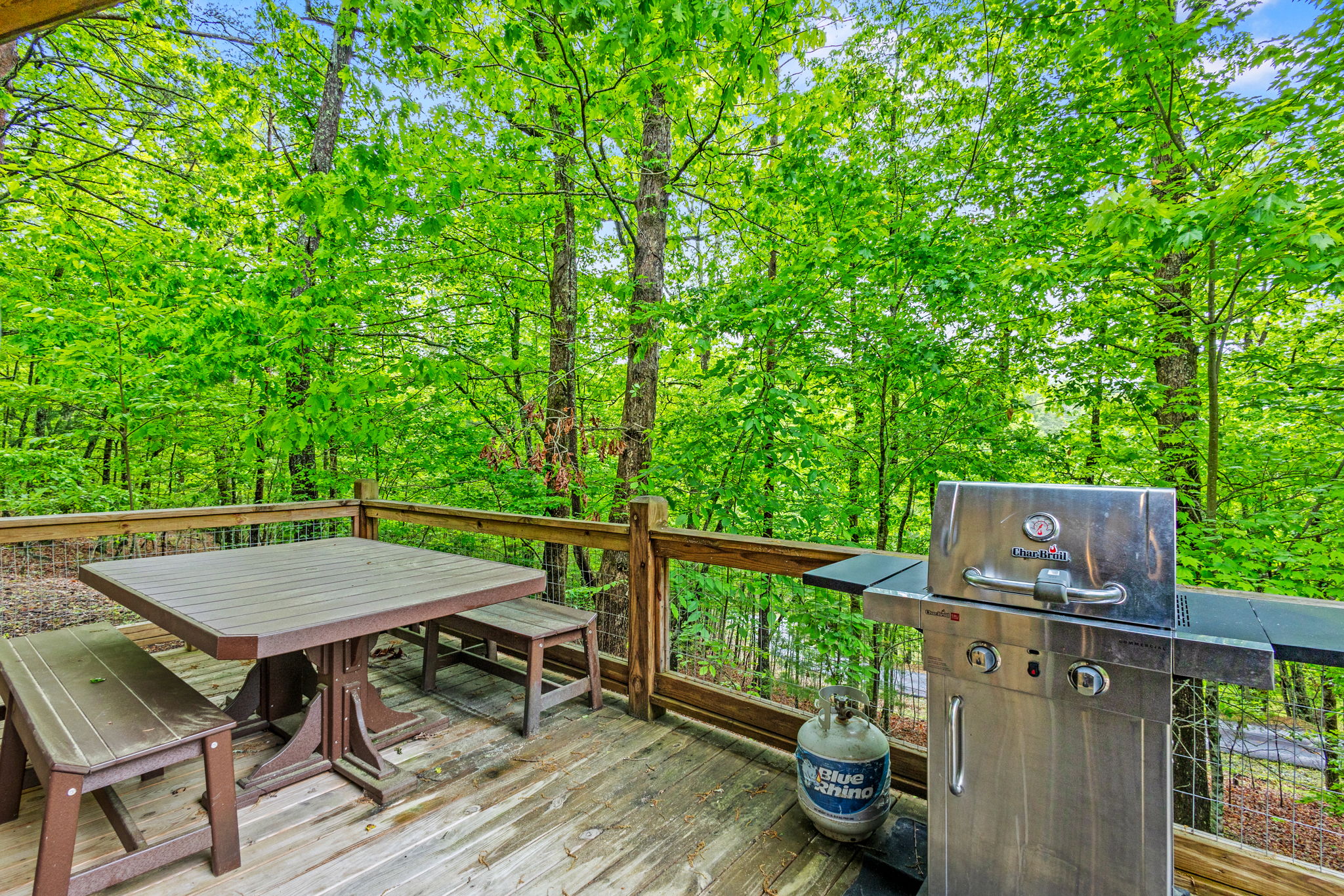 2745 Galloway Rd, Blue Ridge, GA 30513, USA Photo 41