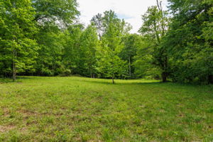 2745 Galloway Rd, Blue Ridge, GA 30513, USA Photo 50