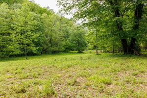 2745 Galloway Rd, Blue Ridge, GA 30513, USA Photo 48