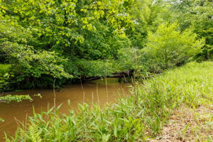 2745 Galloway Rd, Blue Ridge, GA 30513, USA Photo 52
