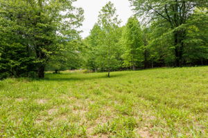 2745 Galloway Rd, Blue Ridge, GA 30513, USA Photo 51