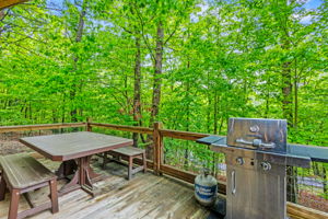 2745 Galloway Rd, Blue Ridge, GA 30513, USA Photo 40