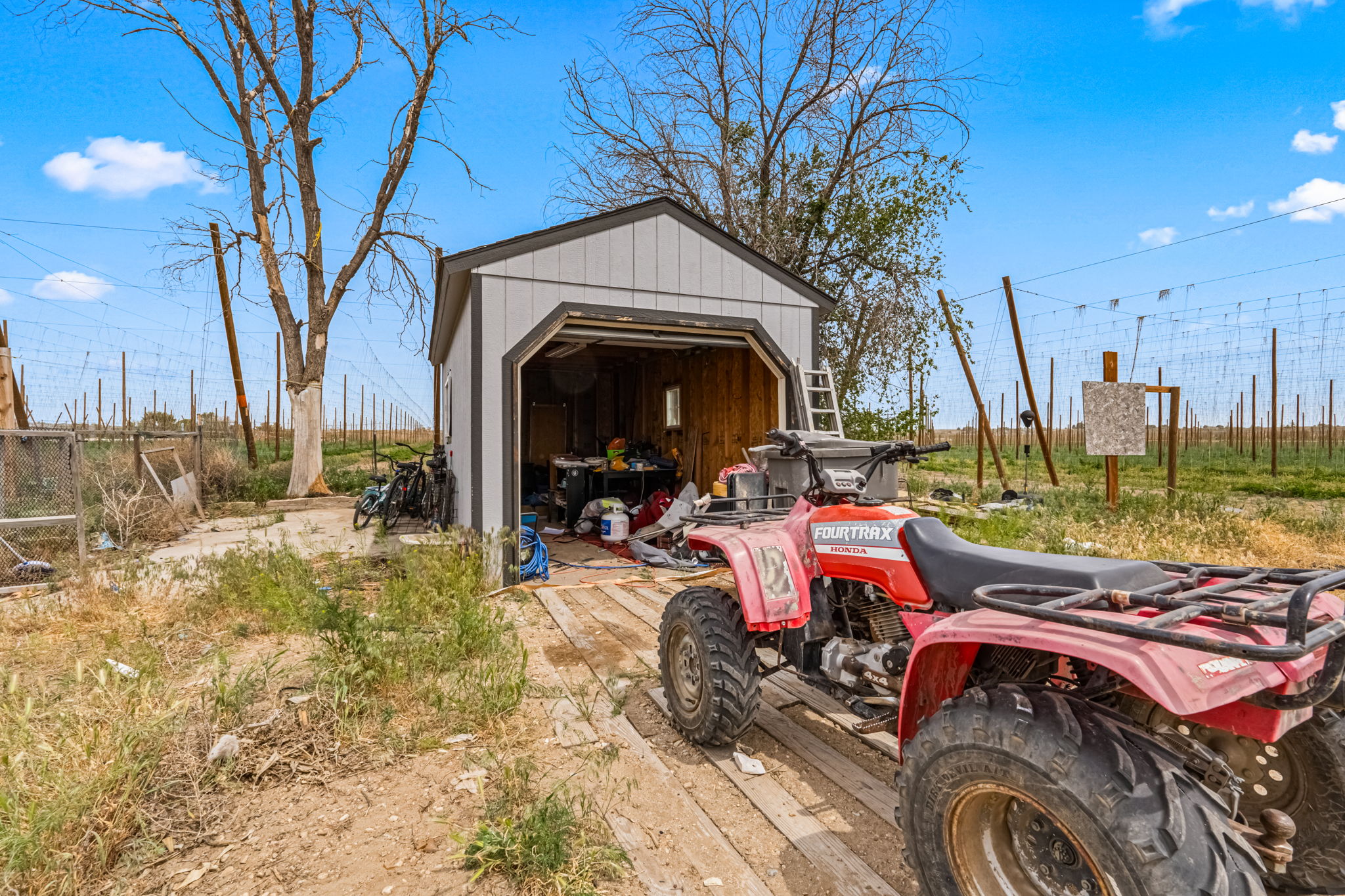 Shed