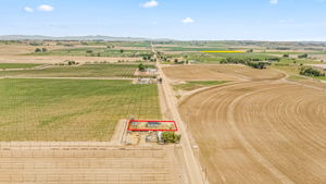 Aerial 4