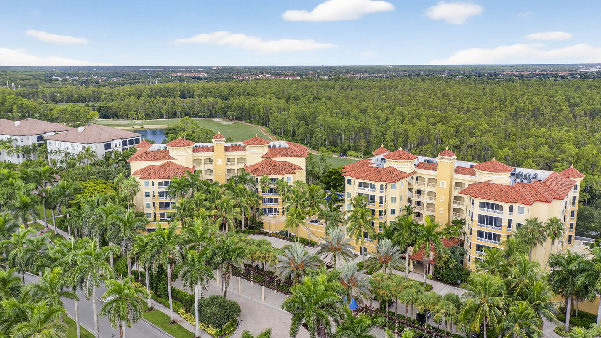 Aerial Front Exterior 1