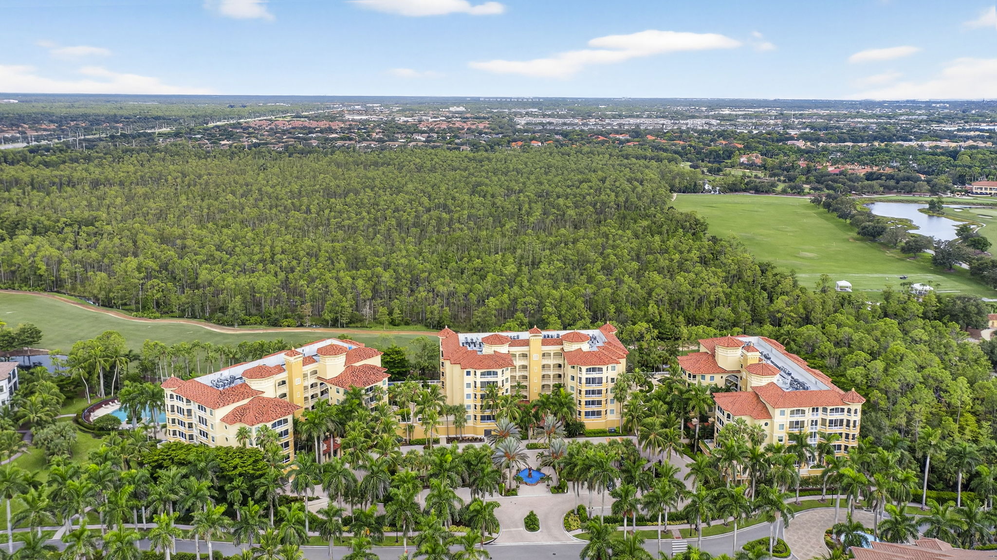 Aerial Front Exterior 3