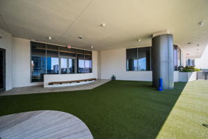 Dog Park2