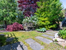  Photo 49