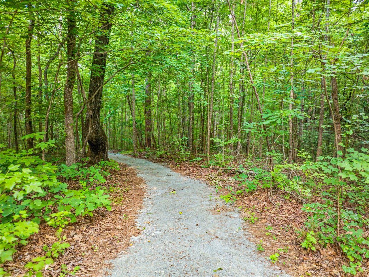 099-Path to River and Creek