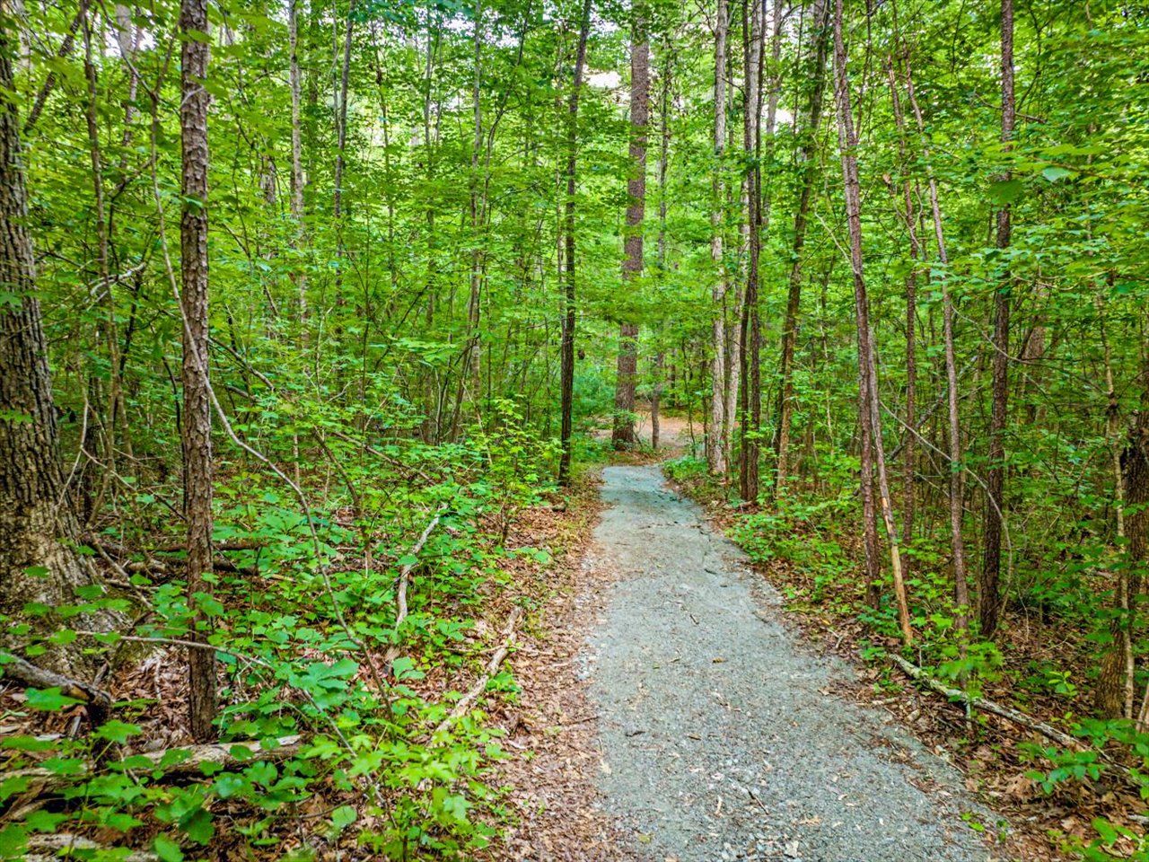 100-Path to River and Creek
