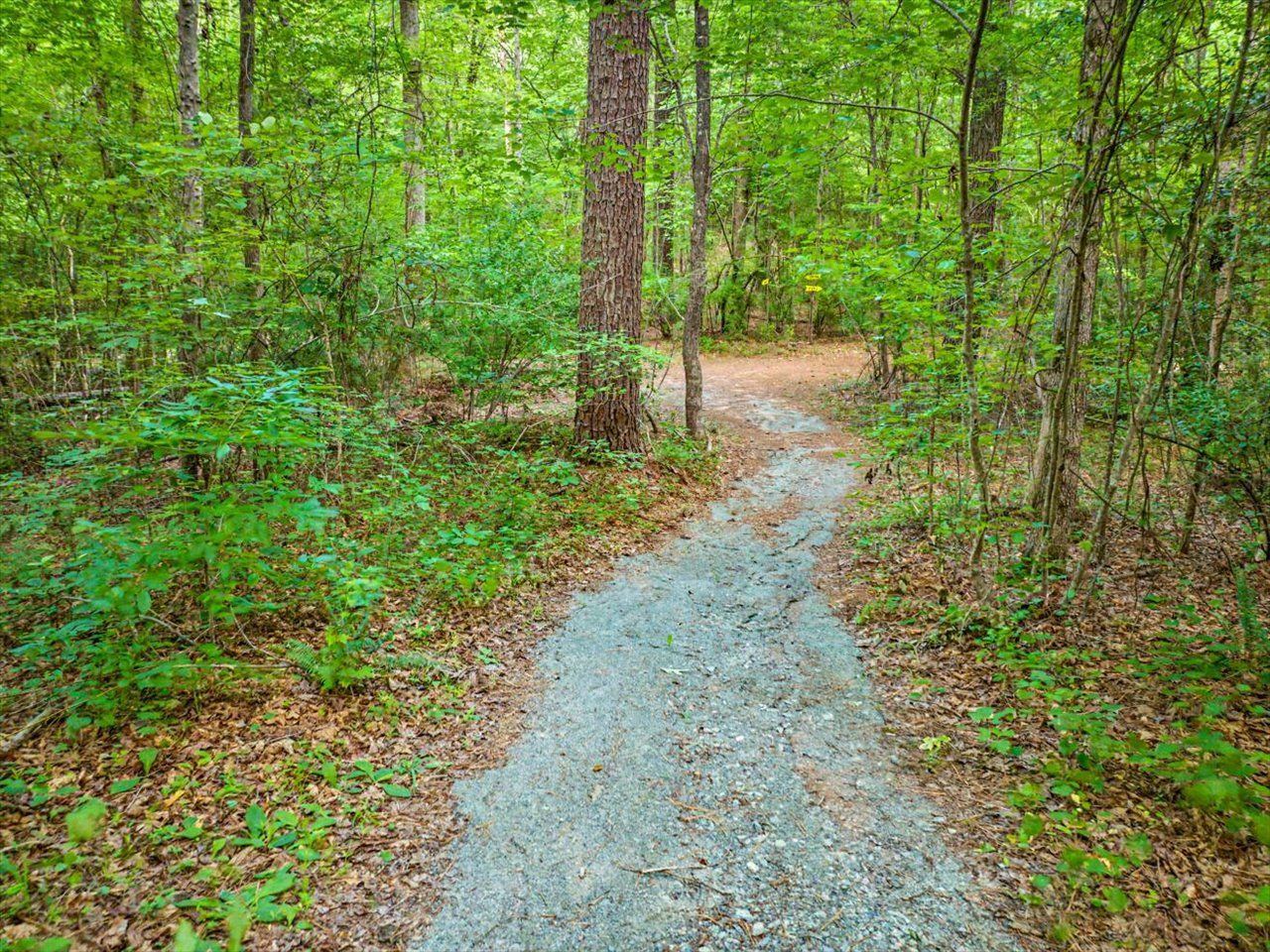 101-Path to River and Creek