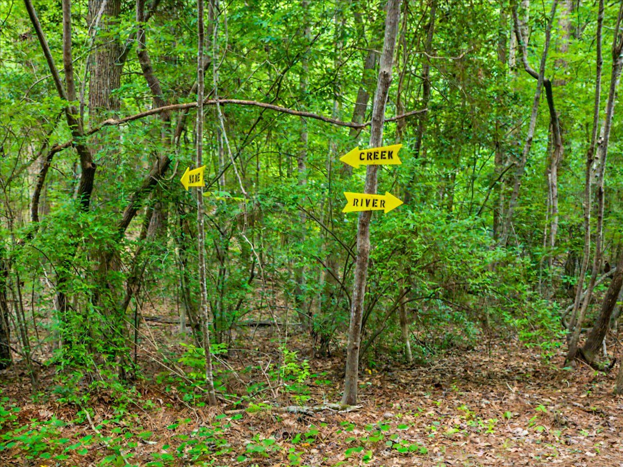 102-Path to River and Creek