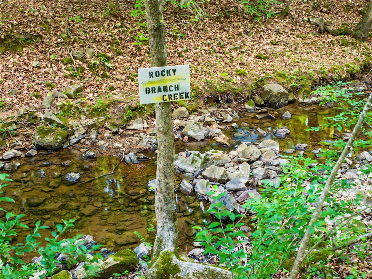 104-Creek Area