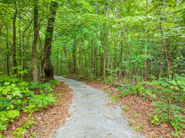 099-Path to River and Creek