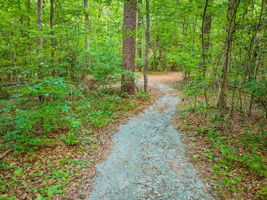 101-Path to River and Creek