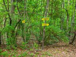 102-Path to River and Creek