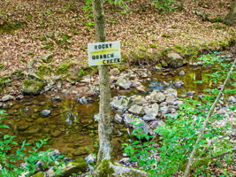 104-Creek Area