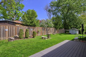  Photo 35