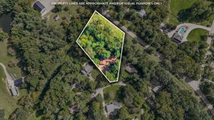  Photo 65