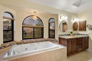 Primary Bath (3)
