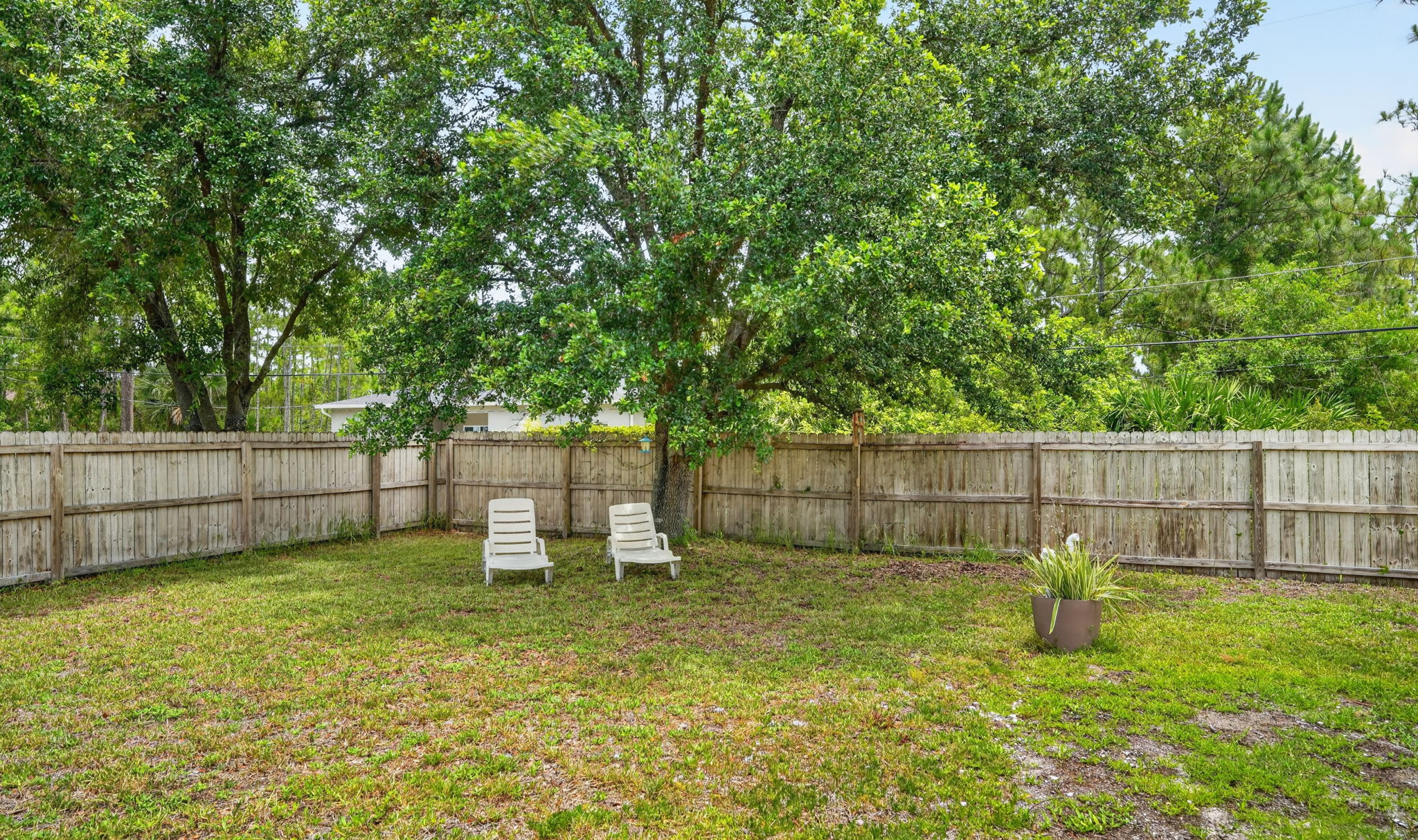 Backyard