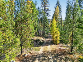  Photo 49