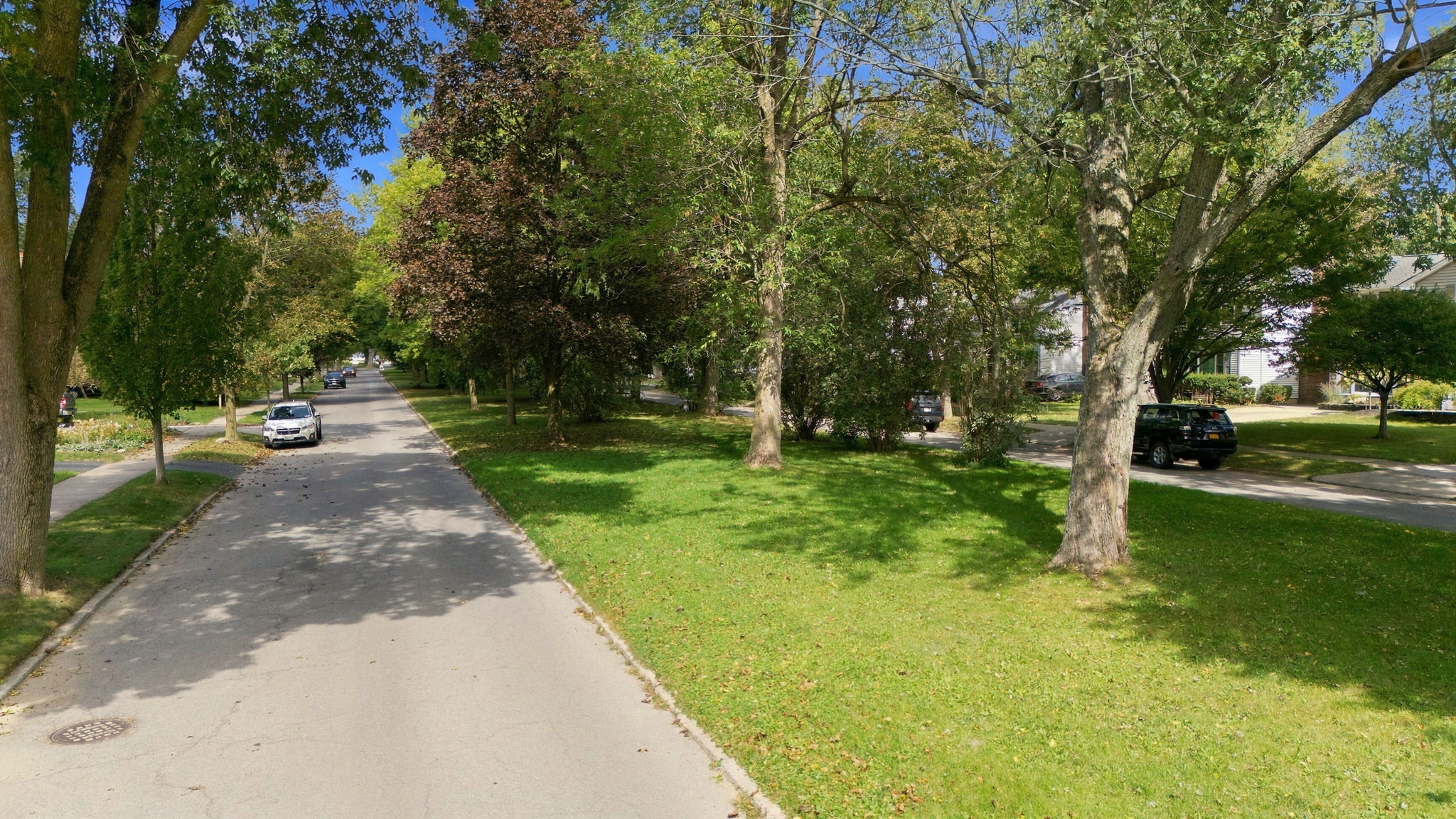 Photo 40