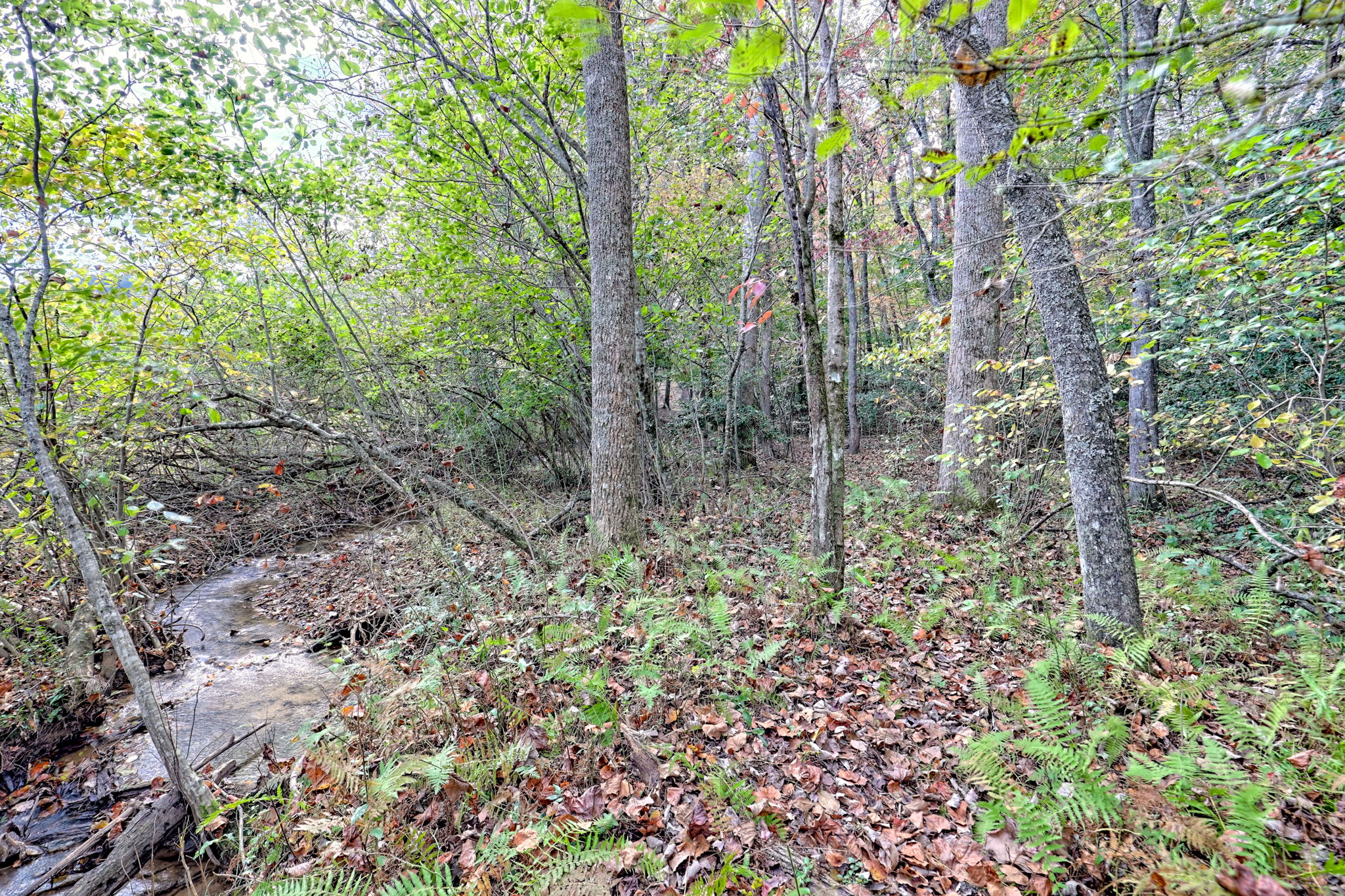  Photo 48