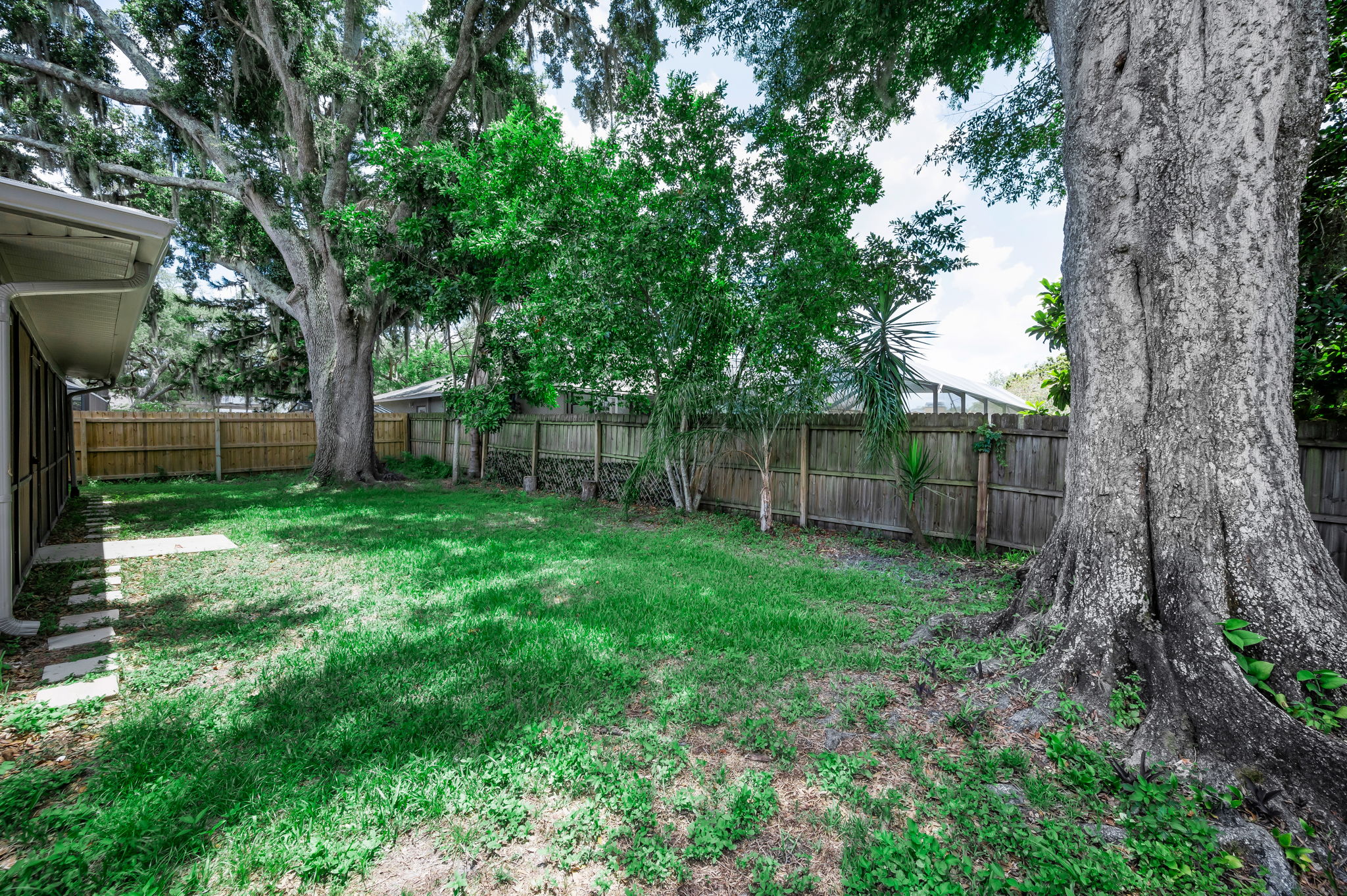 Backyard1