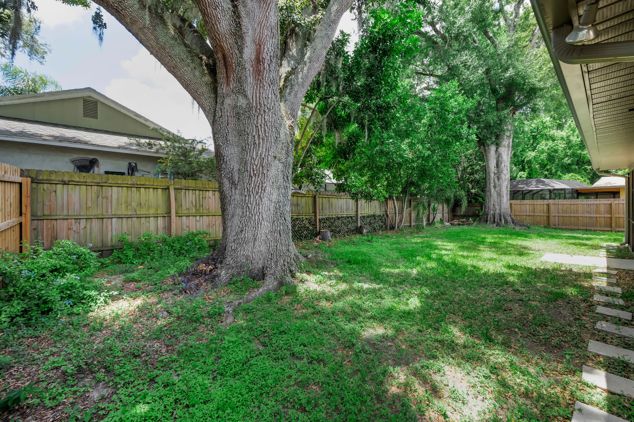 Backyard2