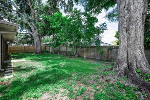 Backyard1