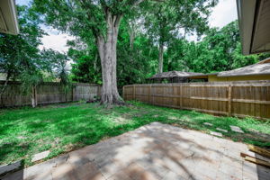 Patio2