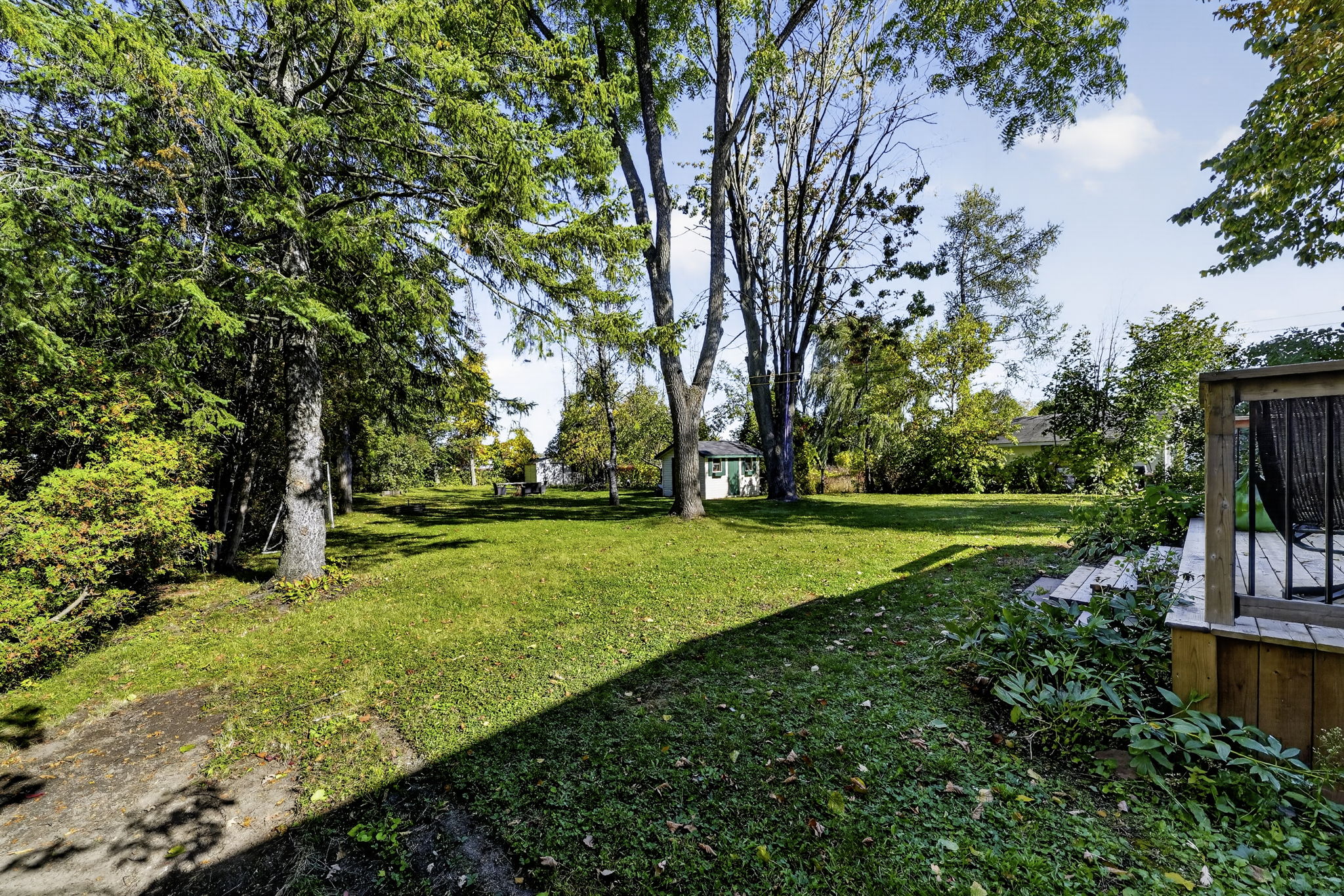  Photo 41