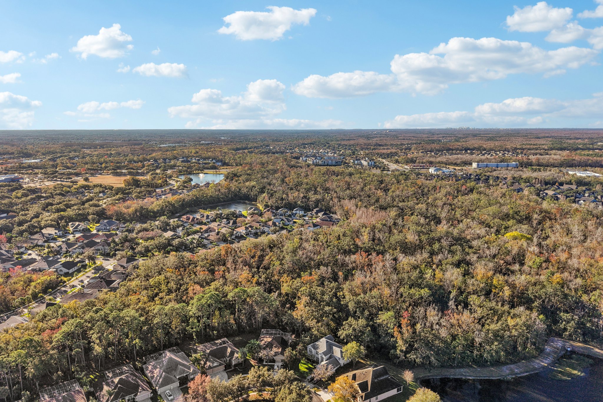 178307-185105 - 27621 Kirkwood Cir, Wesley Chapel, FL 33544-S2001-008.jpg