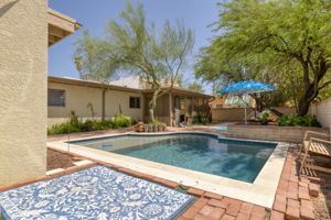 Pool/Back yard