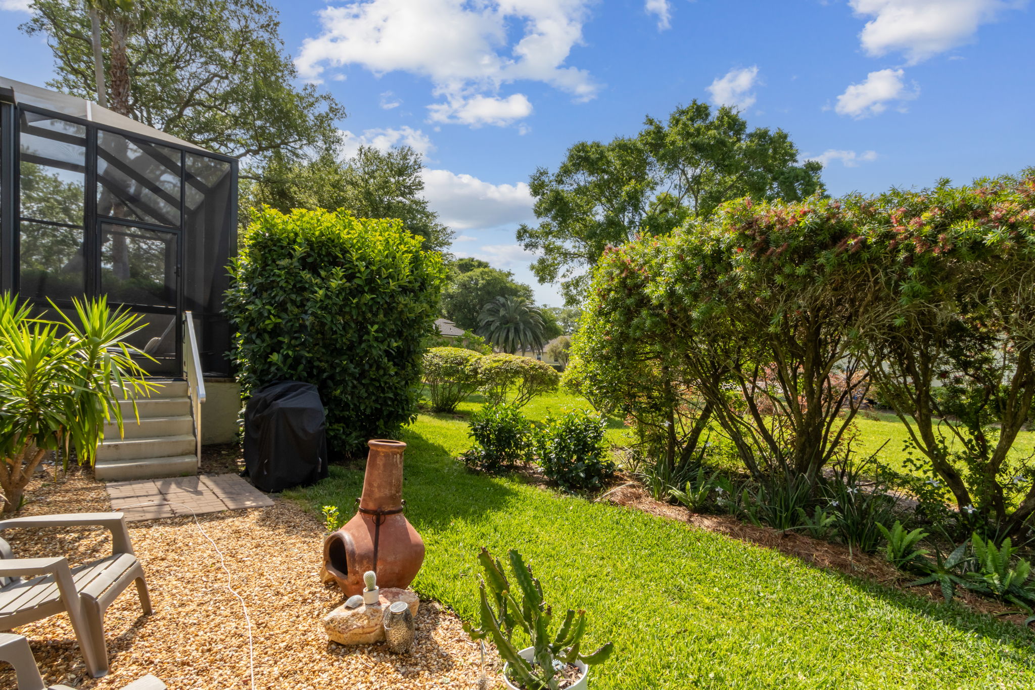 Back Yard